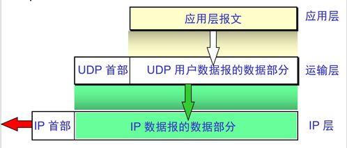 计算机网络体系结构 运输层